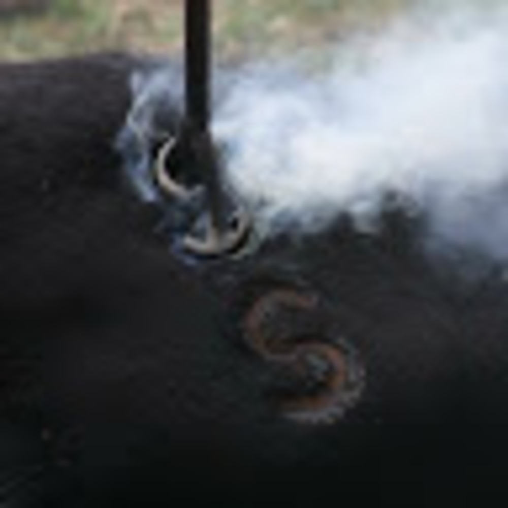 Meet your Posher, Renae